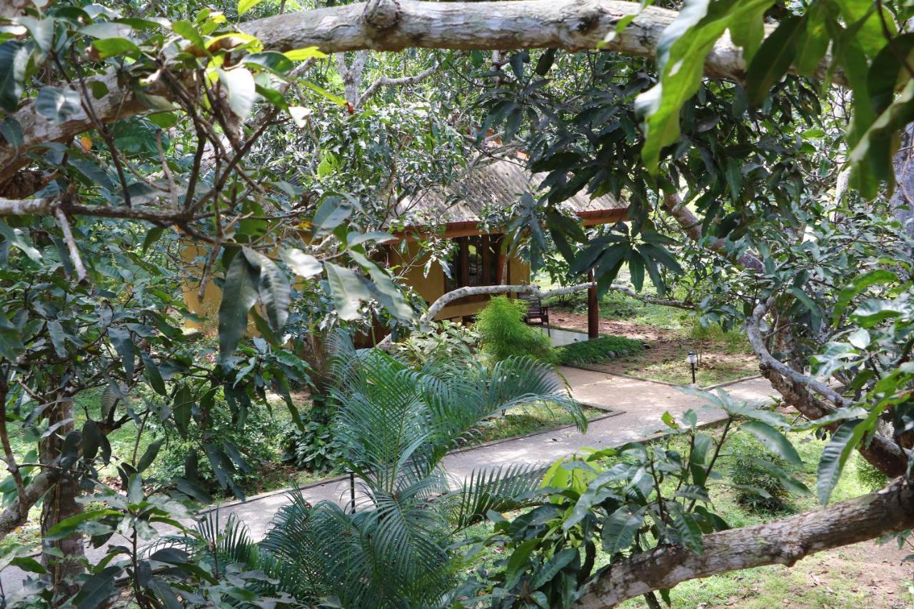 Bissa Villa Habarana Exterior photo